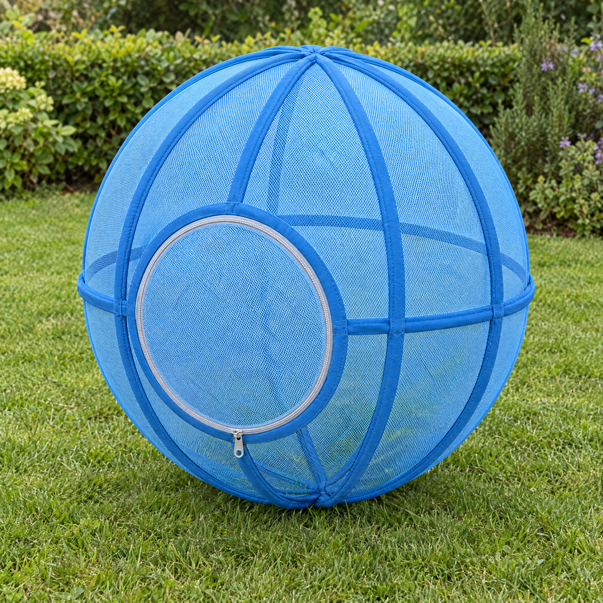 Whisker Wheel cat exercise ball in Blue on a garden lawn